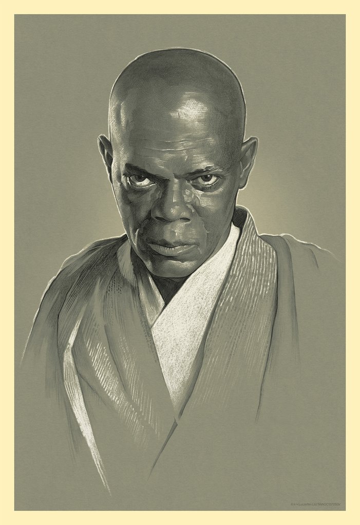Mace Windu - Variant by Gabz - Bottleneck Gallery
