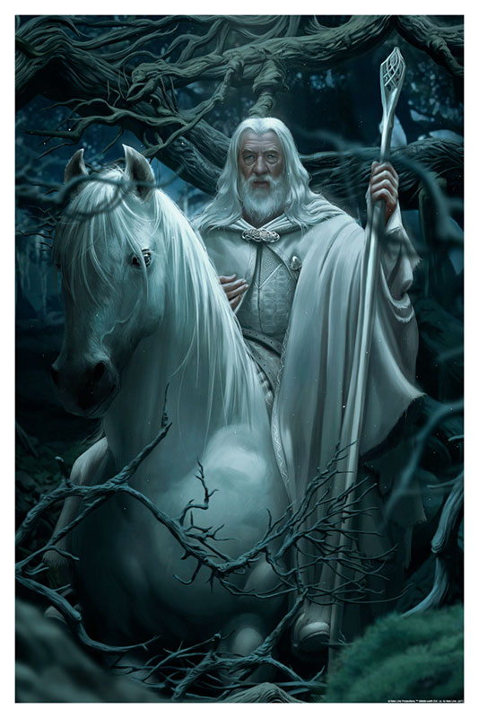 Shadowfax by Ann Bembi