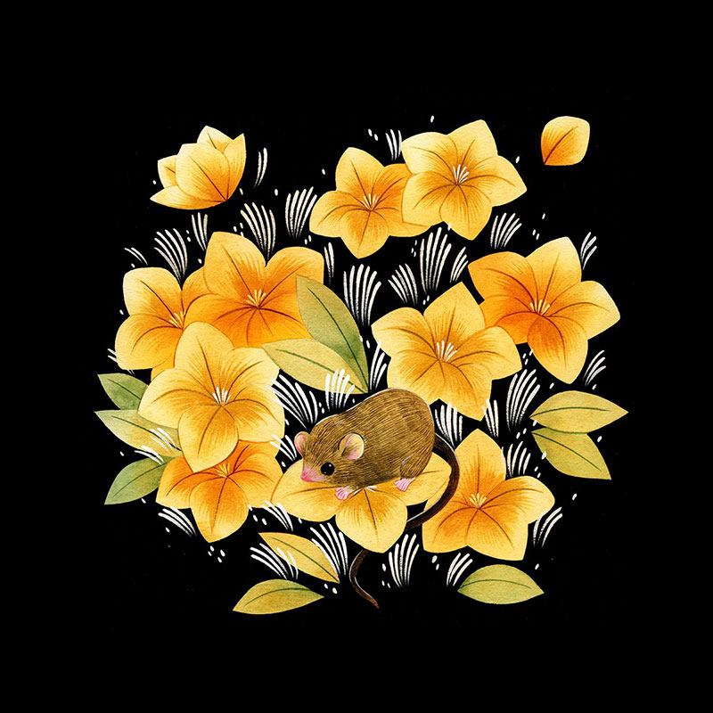 Tasmanian Pygmy Possum by Maggie Chiang from Black Dragon Press