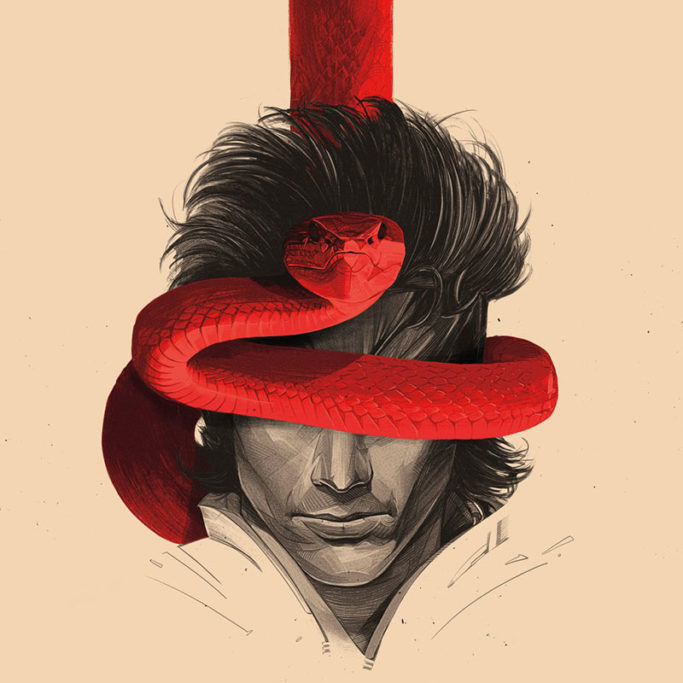 Snake's Revenge - Cover