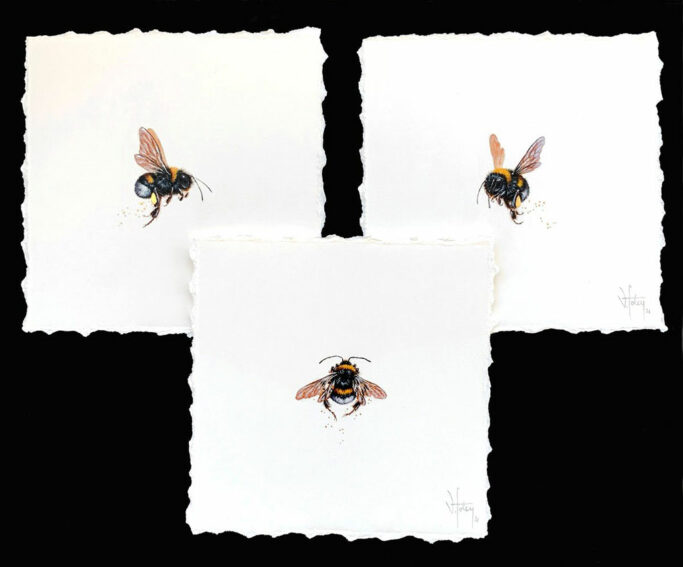 Bumble Bee by Vanessa Foley