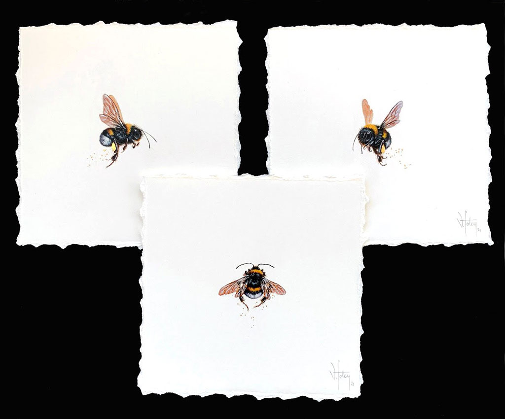 Bumble Bee Set by Vanessa Foley