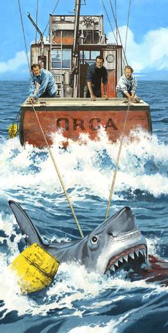 Orca by Paul Mann