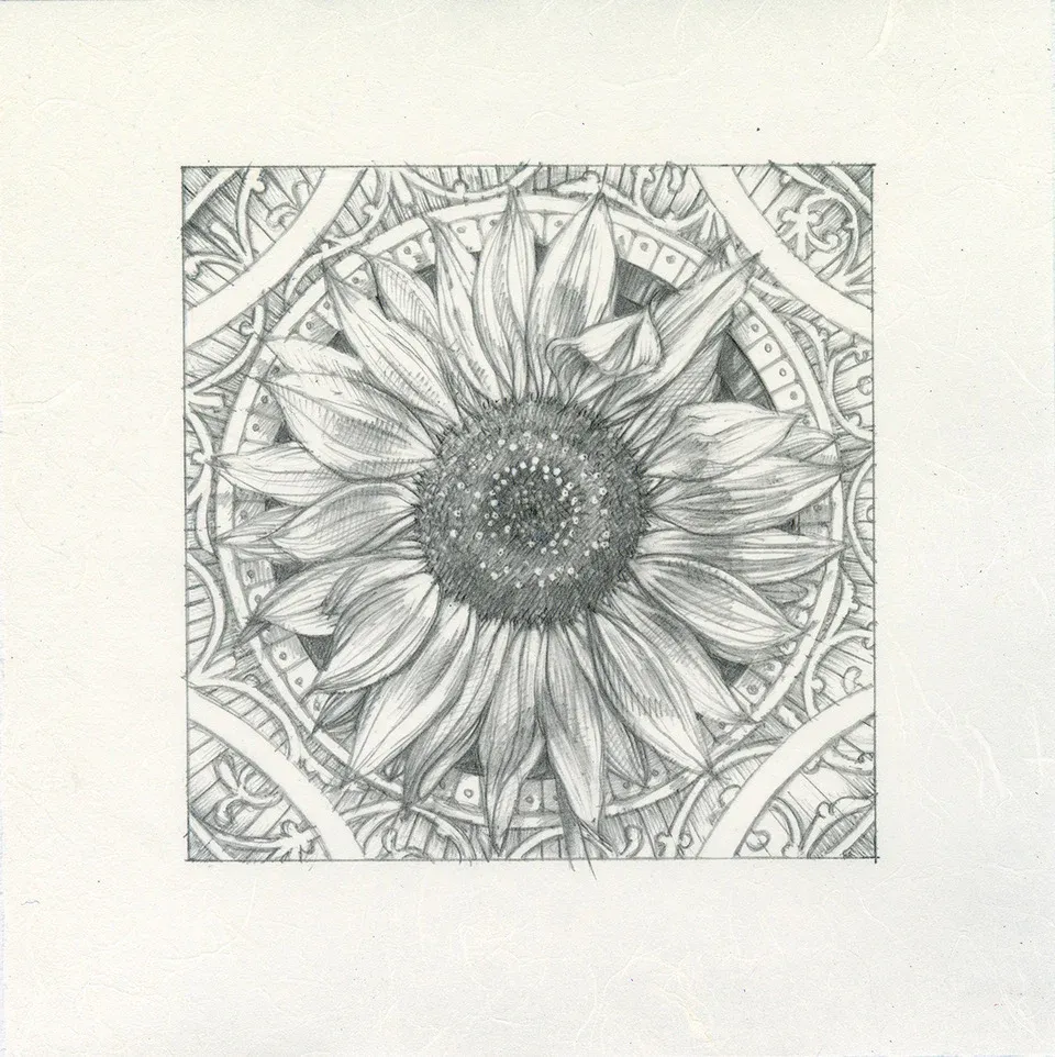 Sunflower - Graphite by AJ Masthay